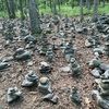 edensellscloths